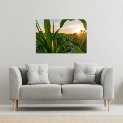 The Range corn and sun close up Canvas Print - Green / 101cm / 77cm