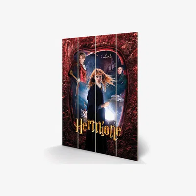 The Range Harry Potter (Hermione) Wall Art