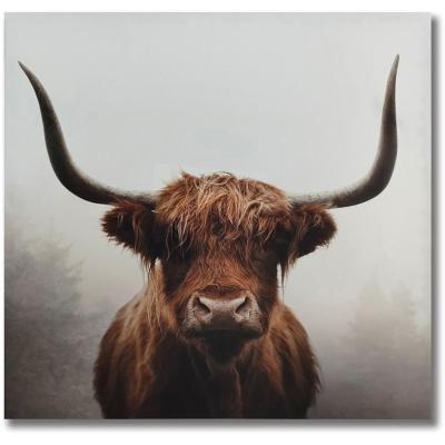 The Range Ian Winstanley Douglas Cow Canvas