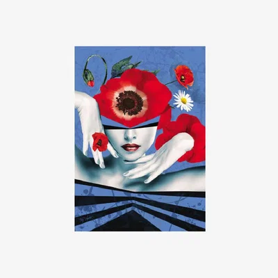 The Range Lady Poppies Artwork - Lady Poppies