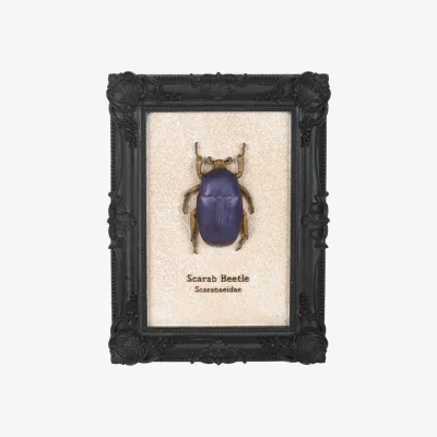 The Range Elegant Scarab Beetle Wall Art - Gothic Frame, Transformation Decor - Purple