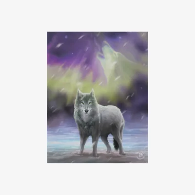 The Range Aurora Canvas Plaque by Anne Stokes - Wolf Wall Art 19x25cm - Grey