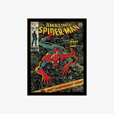 The Range SpiderMan (100th Anniversary) Framed Print