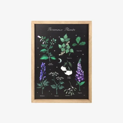 The Range Poisonous Plants Framed Wall Art Print - Black