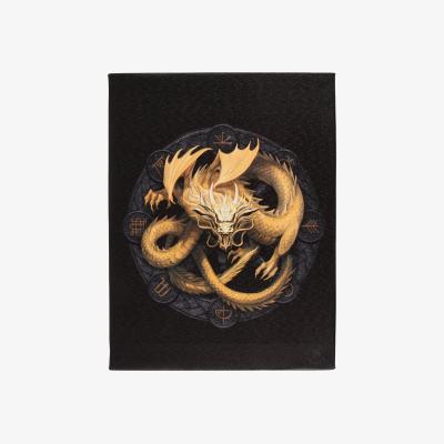 The Range Imbolic Dragon Canvas Plaque - Multicolour
