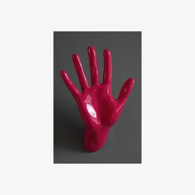 Rockett St George Waving Hand Wall Art & Coat Hook
