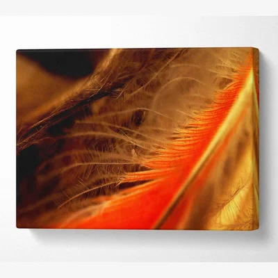 The Range Orange Feather Macro Canvas Print Wall Art - Yellow / 66.04cm