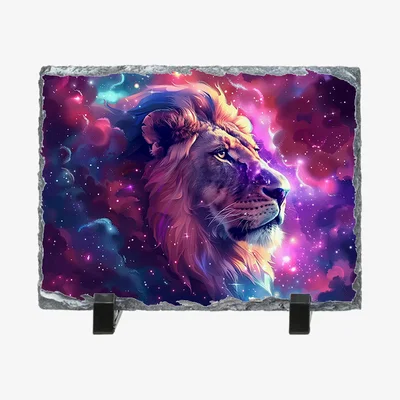The Range Neon Lion Rock Slate - Slate