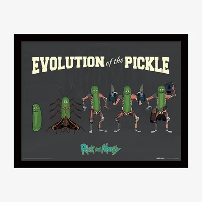 The Range Rick and Morty (Evolution Of The Pickle) Framed Print