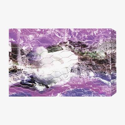 The Range Flower Chickhen Graphic Art Wrapped on Canvas - Pink / 112cm