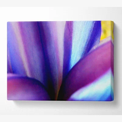 The Range Violet Dream Canvas Print Wall Art - Yellow / 66.04cm