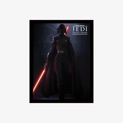 The Range Star Wars Jedi Fallen Order (Inquisitor) Framed Print