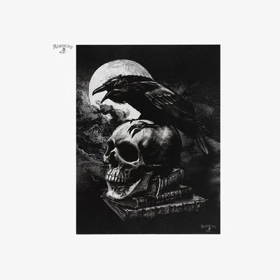 The Range Poe'S Raven Canvas Plaque - Black