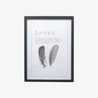 The Range Feather Love & Dream Foiled Framed Art