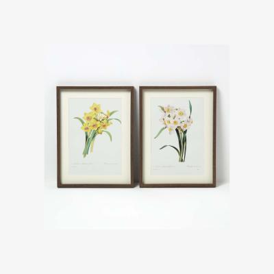 The Range Set of 2 Narcissus Flower Wall Art - White, Yellow