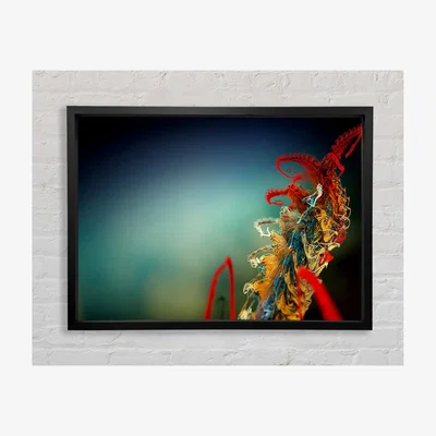 The Range Mikro Plant Framed Print Abstract Prints - Black