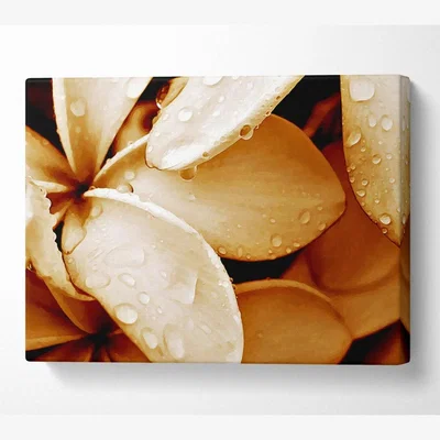 The Range Petal Dew Canvas Print Wall Art - Yellow / 35.56cm