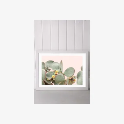 Urban Outfitters Sisi & Seb Bloom Cactus Wall Art Print - White 2 at Urban Outfitters