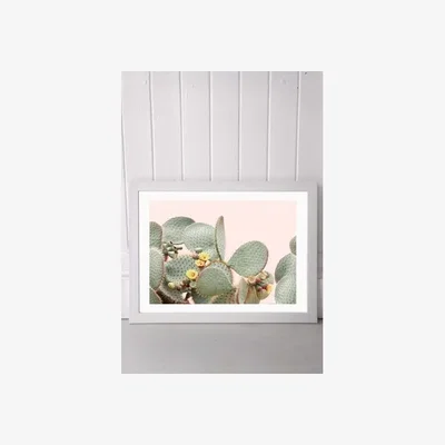 Urban Outfitters Sisi & Seb Bloom Cactus Wall Art Print - White 1 at Urban Outfitters
