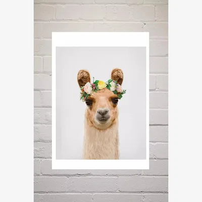 Urban Outfitters Boho Llama Wall Art Print - Assorted 1 at Urban Outfitters