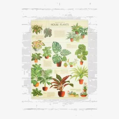 Urban Outfitters Cavallini & Co. Cavallini & Co House Plants 70x50 Poster - Green at Urban Outfitters