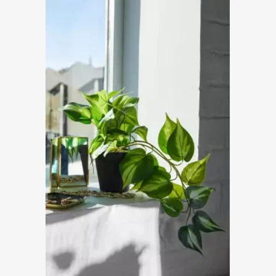 Urban Outfitters Urban Outfitters String Of Hearts Faux Plant - Dark Grey ALL