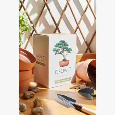 Urban Outfitters Urban Outfitters Grow It Bonsai Tree Kit ALL