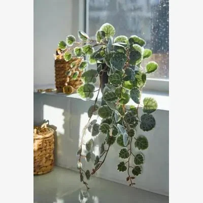 Urban Outfitters Urban Outfitters Silver Vine Faux Plant - Dark Grey ALL