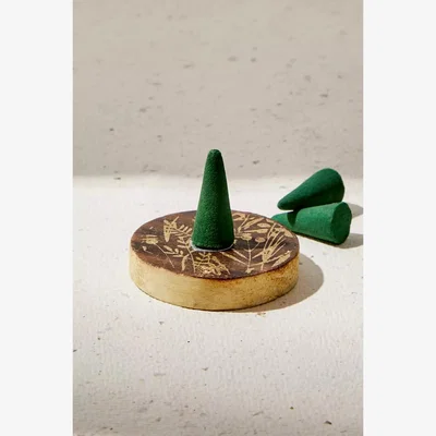 Urban Outfitters Winter Floral Incense Cones & Holder ALL at Urban Outfitters