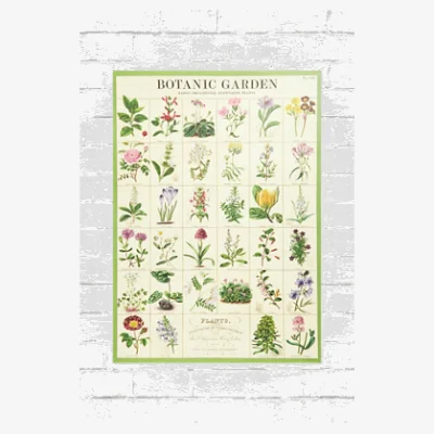 Urban Outfitters Cavallini & Co Botanical Wall Art Print - Assorted ALL at Urban Outfitters