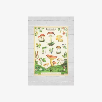 Urban Outfitters Cavallini & Co Mushroom Wall Art Print - Assorted ALL at Urban Outfitters