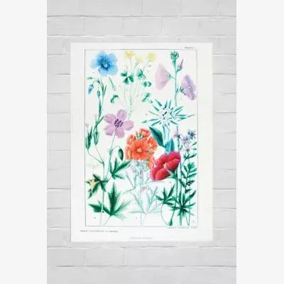 Urban Outfitters Urban Outfitters Red & Blue Wildflowers 30x40 Poster