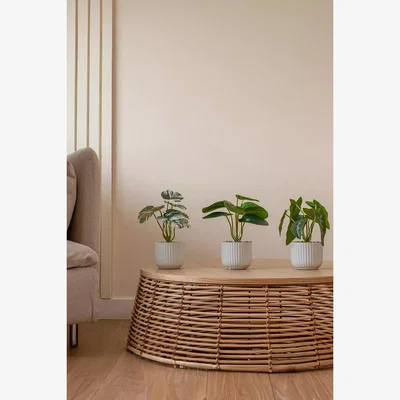 Urban Outfitters Urban Outfitters,BAGGU Mini Succulent Faux Plants 3-Pack ALL at Urban Outfitters