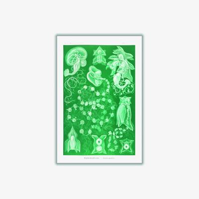 Wolf & Badger Green Siphonophorae-Staatsquallen Iiiii By Ernst Haeckel Extra Large Stanley Print House