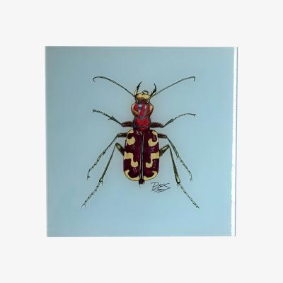 Wolf & Badger Brown Painting Beach Sand Beetle Blue Background Catchii
