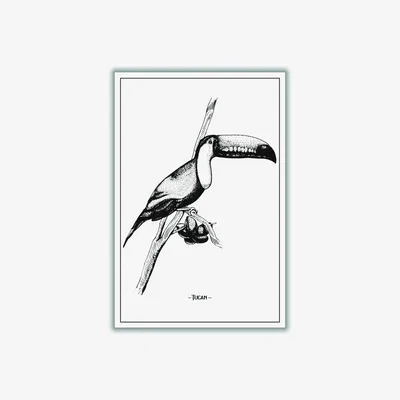 Wolf & Badger Black Tucan Large Stanley Print House