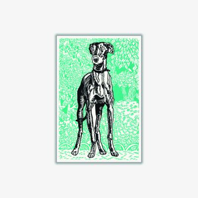 Wolf & Badger Black Greyhound 1912 By Moriz Jung A3 297 X 420Mm Stanley Print House
