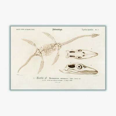 Wolf & Badger Gold Plesiosaurus Large Stanley Print House