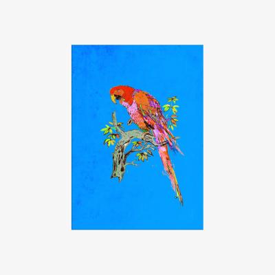 Wolf & Badger Blue The Proper Parrot Limited Edition Signed Print Jessica Russell Flint