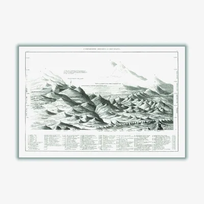 Wolf & Badger Grey Geology Map Xxs Stanley Print House
