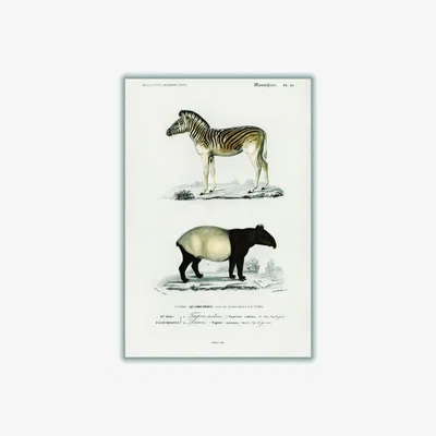 Wolf & Badger Malayan Tapir & Mountain Zebra Large Stanley Print House