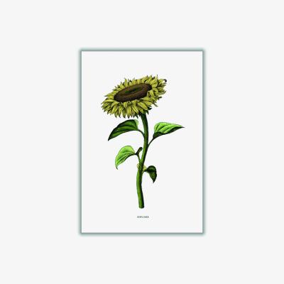 Wolf & Badger Green Sunflowers For President A3 297 X 420Mm Stanley Print House