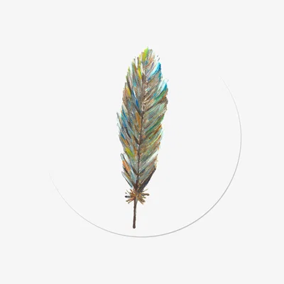 Wolf & Badger Grey Circle Wall Sticker Gray Feather Catchii