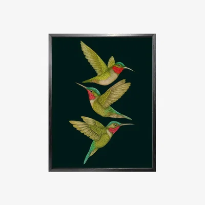 Wolf & Badger 'Tropical Hummingbirds' Charcoal Fine Art Print M Emily Carter