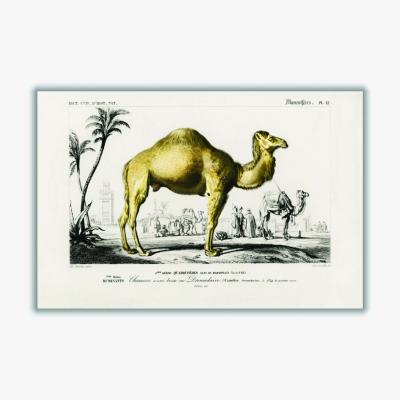 Wolf & Badger Gold Camel Small Stanley Print House