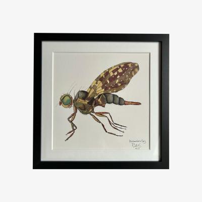 Wolf & Badger Painting Brown Fly Catchii