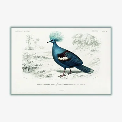 Wolf & Badger Blue Goura A4 210 X 297Mm Stanley Print House