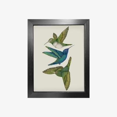 Wolf & Badger Green Antique Hummingbirds Iii Cream - Fine Art Print A3 Emily Carter