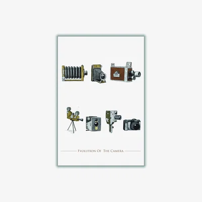 Wolf & Badger Neutrals Evolution Of The Camera A1 594 X 841Mm Stanley Print House