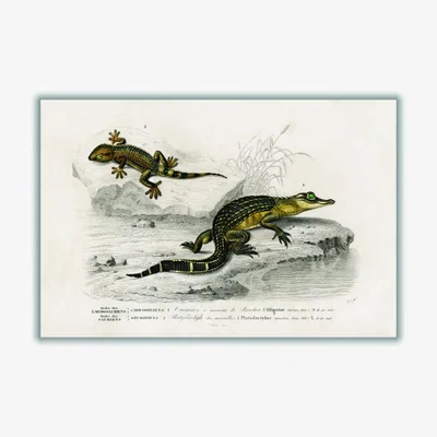 Wolf & Badger Green Alligator And Lilford Swall Lizard A1 594 X 841Mm Stanley Print House